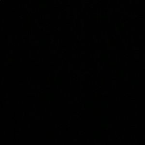 Meet your Posher, Sadie